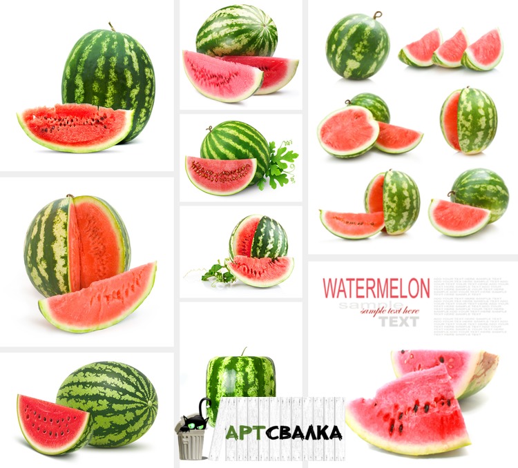 Сочный арбуз на белом фоне | Juicy watermelon on a white background